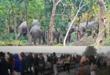 राजधानी एक्सप्रेस की चपेट में हाथियों का झुंड, सात की मौत